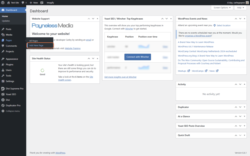 How Do I Add Content to My Website? A Guide to Using Divi